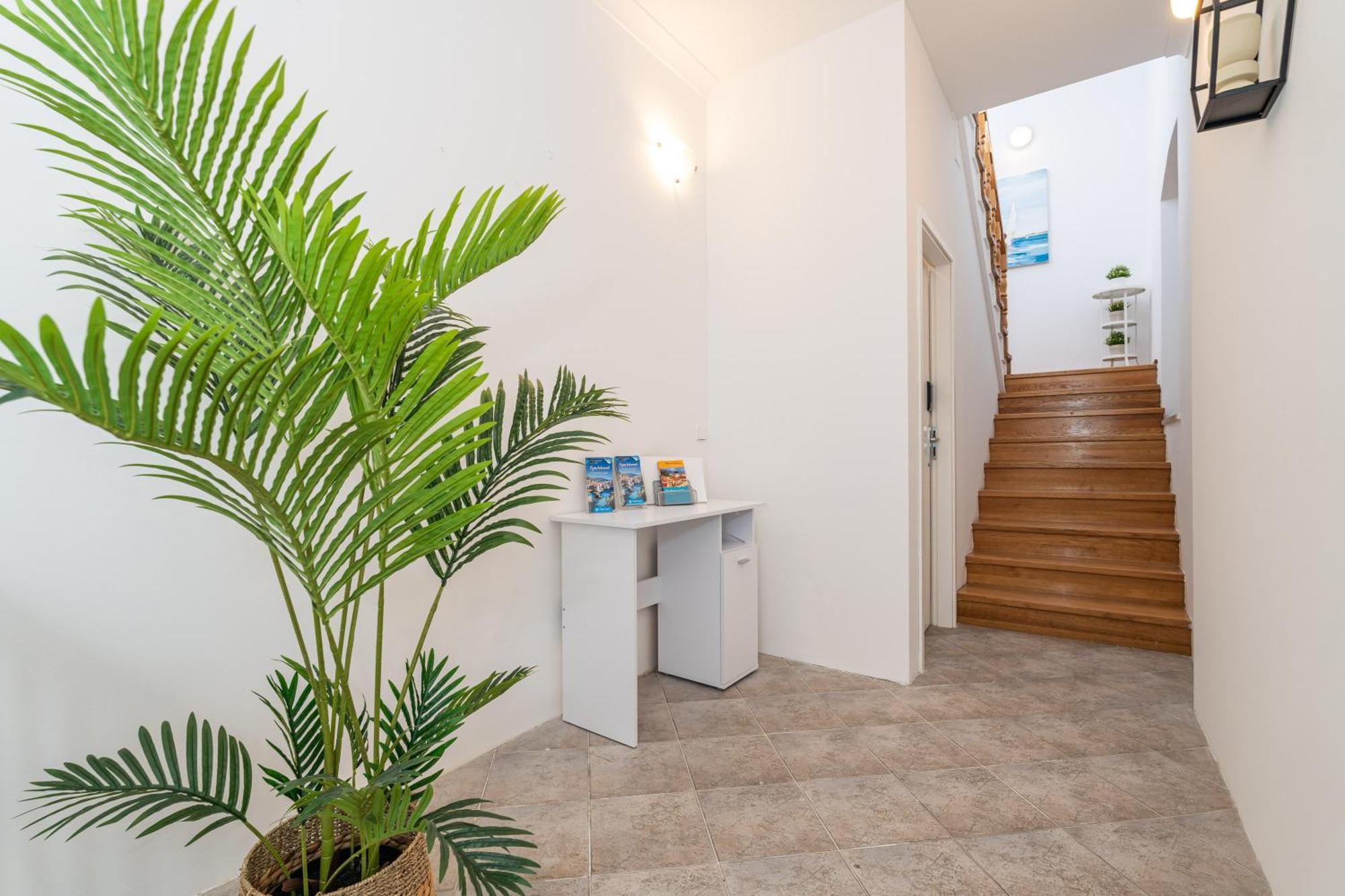 Kenova Apartments Old Town ドゥブロブニク エクステリア 写真